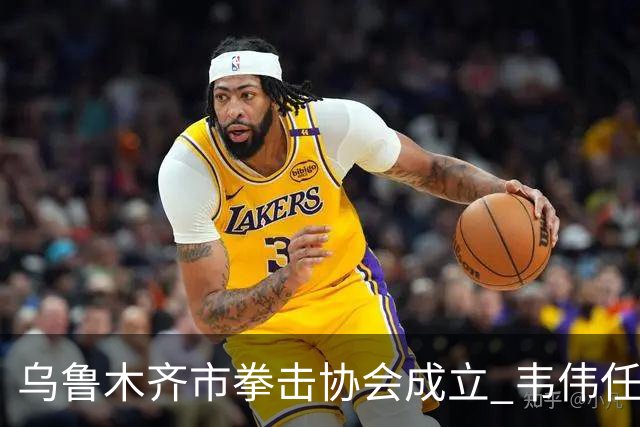 乌鲁木齐市拳击协会成立 韦伟任会长